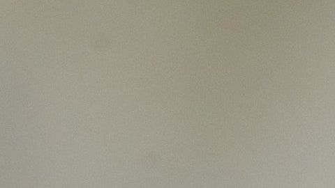 Si encuentra una hormiga, es seguro que tendrá toda una colonia cerca.