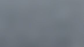 Con una cuerda consiguió sacar a los ciervos del hielo.