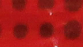 El secuestro fue una especia de cortina de humo para desviar la atención sobre el caso del desafuero de AMLO.