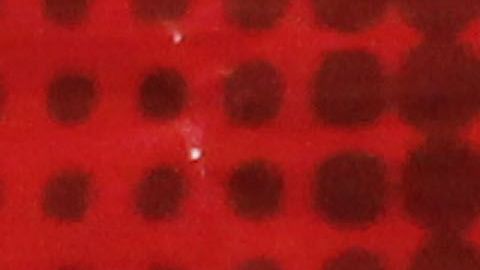 El secuestro fue una especia de cortina de humo para desviar la atención sobre el caso del desafuero de AMLO.