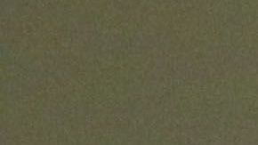 Maria Sharapova tuvo momentos de esparcimiento previos a su participación en el torneo de Abu Dhabi.