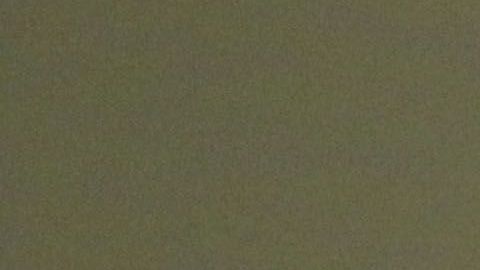 Maria Sharapova tuvo momentos de esparcimiento previos a su participación en el torneo de Abu Dhabi.