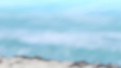 Atlante juega en la Liga de Ascenso MX.