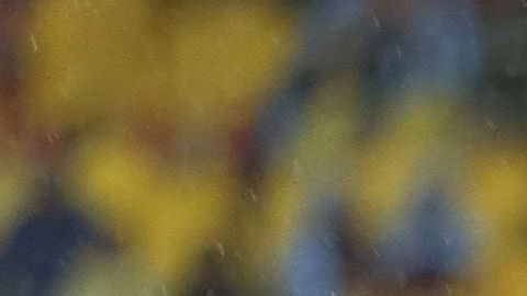 Escoboza, el primer refuerzo del América.