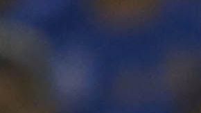 El campeón Tigres recibe a las Águilas del América en el "Volcán", en duelo de la fecha 6