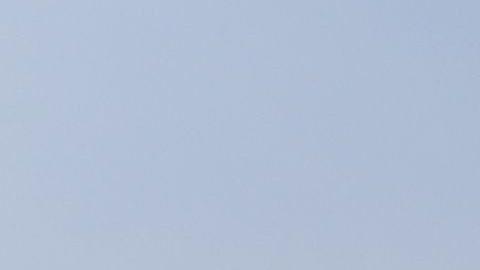 Luis Fuentes, cerca de llegar al América.