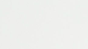 El 'Gullit' Peña durante su paso por Necaxa.