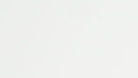 El 'Gullit' Peña durante su paso por Necaxa.