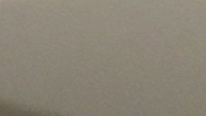 Emilio Azcarraga y su gran amor por el equipo.