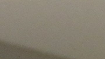 Emilio Azcarraga y su gran amor por el equipo.