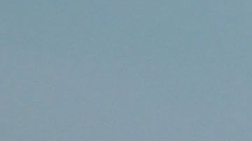 Ciudad de México, 12 de diciembre de 2018. , durante el partido de ida de la Final del torneo Apertura 2018 de la Liga Bancomer MX categoría Sub17, entre las Aguilas del América y Tigres de la UANL, celebrado en Coapa. Foto: Imago7/