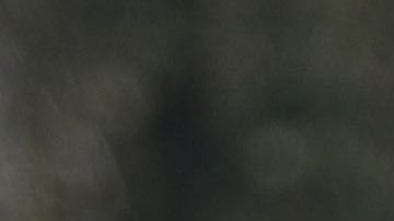 Guadalajara, Jalisco, 31 de marzo de 2019. Norma Palafox, durante el juego de la jornada 15 torneo Clausura 2019 de la Liga MX Femenil, entre las Chivas Rayadas del Guadalajara y Monarcas Morelia, celebrado en Verde Valle. Foto: Imago7/ Fabian Meza