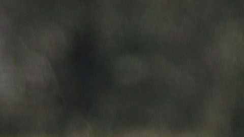 Guadalajara, Jalisco, 31 de marzo de 2019. Norma Palafox, durante el juego de la jornada 15 torneo Clausura 2019 de la Liga MX Femenil, entre las Chivas Rayadas del Guadalajara y Monarcas Morelia, celebrado en Verde Valle. Foto: Imago7/ Fabian Meza