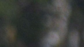 El equipo sub 17 del América no pudo calificar a la liguilla en este torneo.