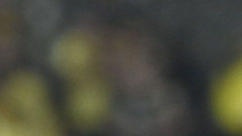 Esta noche Paul Aguilar romperá un récord americanista.