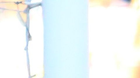 Gignac dio explicaciones a la afición por la eliminación de Tigres y les mandó un mensaje de unidad.