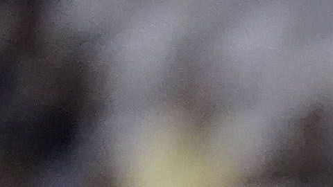 Morelia vs. América, una semifinal muy cerrada.