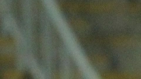Mónica Rodríguez tuvo un gran torneo de Apertura 2019.