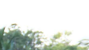 Aficionados han pedido que el Atlante vuelva a su excasa.