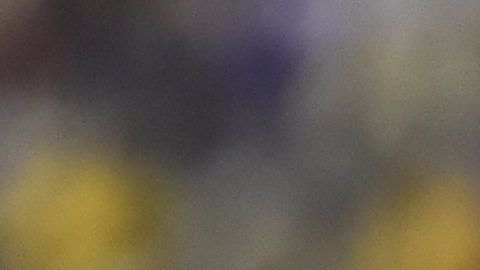 América y Chivas se enfrentarán en la jornada 14.