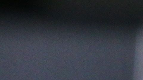 Guillermo Vázquez abandonará al Necaxa.