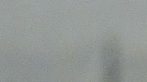 Nico Castillo listo para volver a la acción.