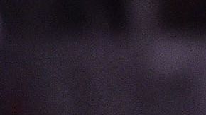 ¡Por fin! un proyecto con gran futuro llegó al rebaño sagrado.