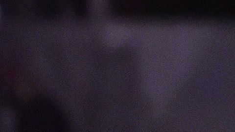 ¡Por fin! un proyecto con gran futuro llegó al rebaño sagrado.