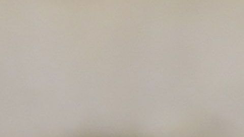 Reyna era el último mexicano en ganar el título de goleo.