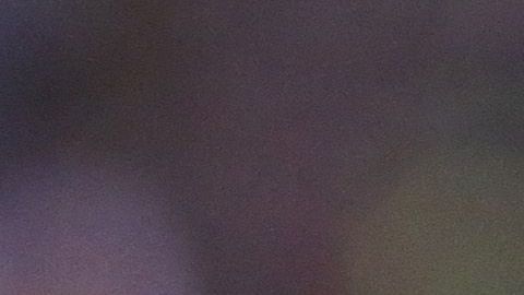 Cavallini prometió regresar a Puebla.