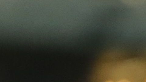 Alan Pulido obtuvo el título de goleo.