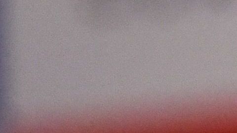 'El flaco' se mostró ilusionado de seguir con el rebaño.