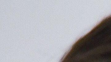 Amaury Vergara se quedó a cargo de los negocios de su padre.