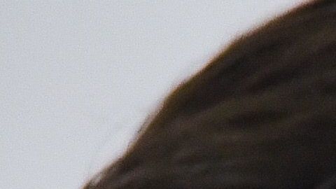 Amaury Vergara se quedó a cargo de los negocios de su padre.