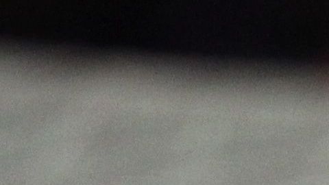 Guido Rodríguez ha sido uno de los jugadores más regulares del América.