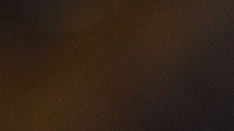 El francés llegó a Tigres en 2015.