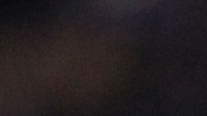 ¿Volverá a levantar la copa con los de Coapa?