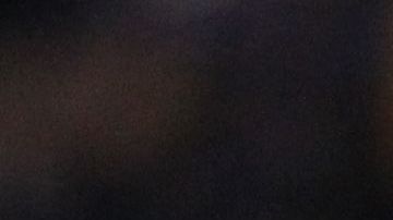 ¿Volverá a levantar la copa con los de Coapa?