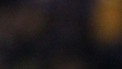 ¿Volverá a levantar la copa con los de Coapa?