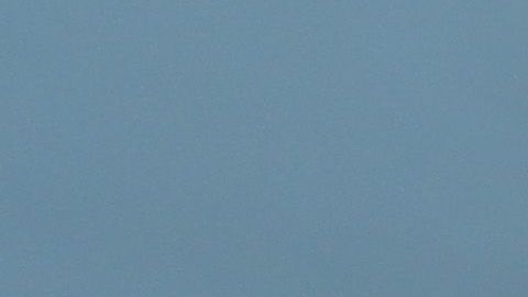 El América ya está listo para su compromiso de semifinales.