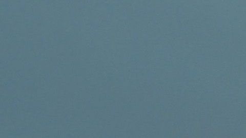 Todo parece indicar que Guido dejará al América.