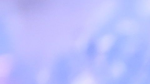 Si Alebrijes gana el torneo Clausura 2020 obtendrá el pase en automático a la Liga MX.