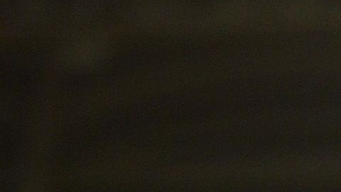 Janssen no pudo disputar el Mundial de Clubes.