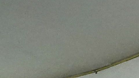 Miguel Herrera sorprende con su alineación para el América vs. Morelia.