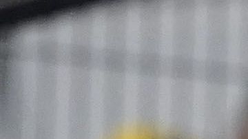 La afición del América mostrando siempre su compromiso.