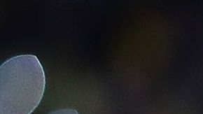 Roger Martínez quiere emigrar al viejo continente.