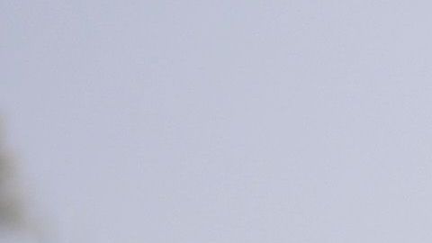 En Coapa ya se respira la Navidad.