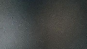 Ochoa va por su segundo título de liga con América.