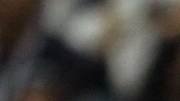 El argentino es el atacante más productivo del año en la Liga MX.