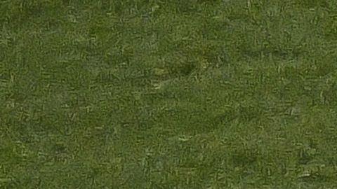 Pese a ser un pilar del América, Guido falló un penal decisivo.